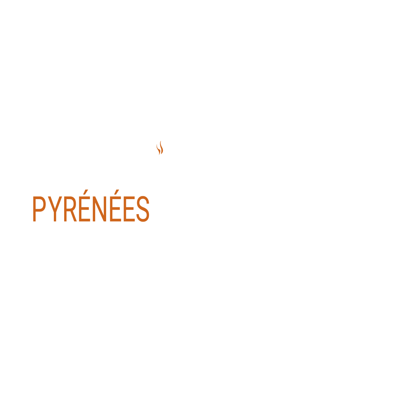 Creacras - Création de logo Pyrénées Energies Services